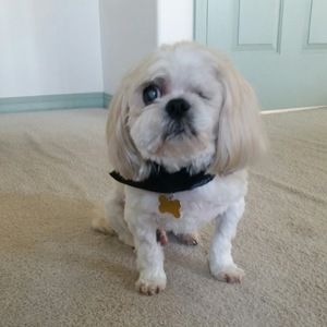 Meet your Posher, Rhonda